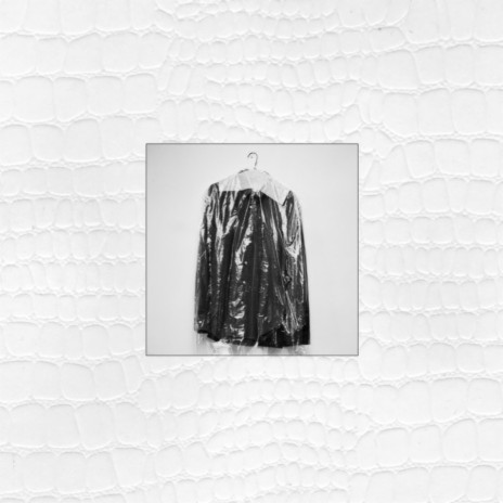 Blanket cover art