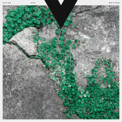 Kava cover art