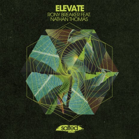Elevate ft. Nathan Thomas cover art