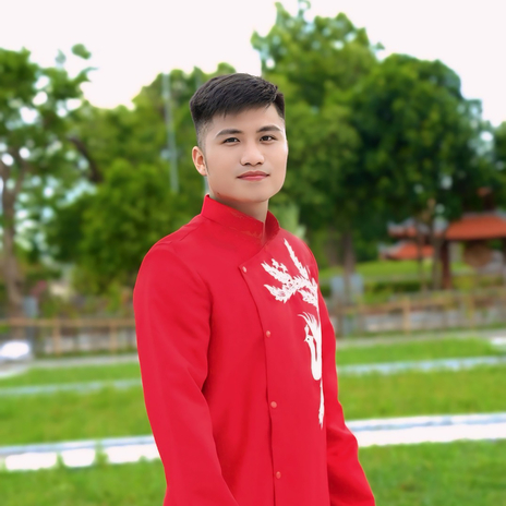 Thương Nhau Lý Tơ Hồng (Remix) cover art