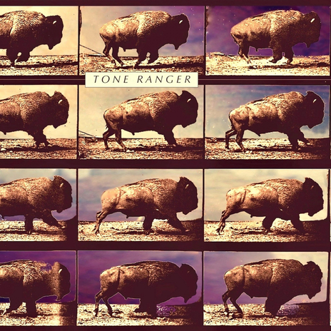 Gallup cover art