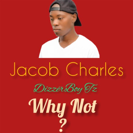 Why Not? cover art