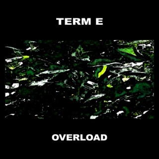 TERM E