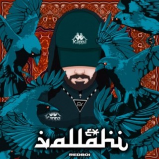 Vallahi Freestyle cover art