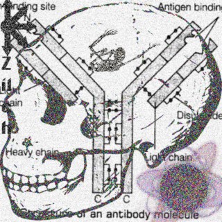 4Antibodies vs Antifreeze cover art