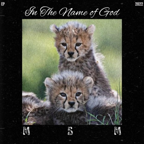 Won't Stop cover art