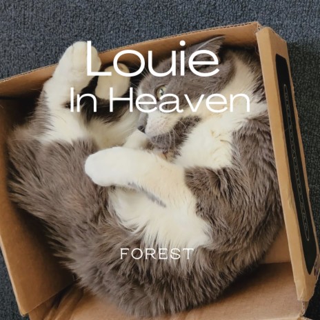 Louie in Heaven cover art