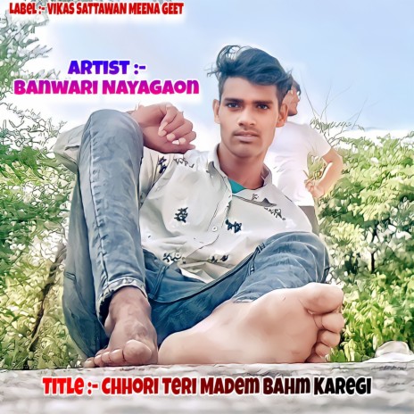 Chhori Teri Madem Bahm Karegi ft. Banwari Nayagaon cover art