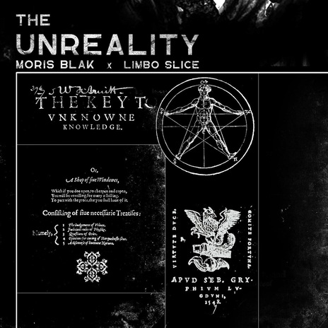 The Unreality ft. Limbo Slice cover art