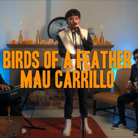 Birds of a Feather (Cover) cover art