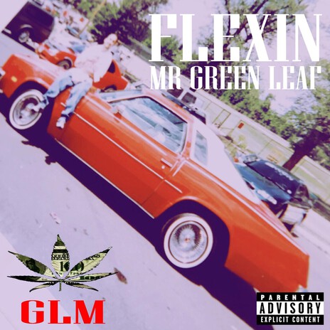 FLEXIN cover art