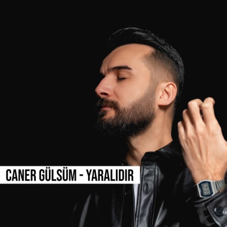 Yaralıdır cover art