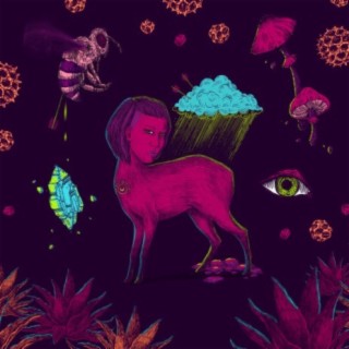 Velvet Heart Woman cover art