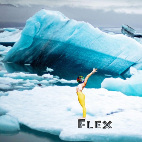 Flex cover art