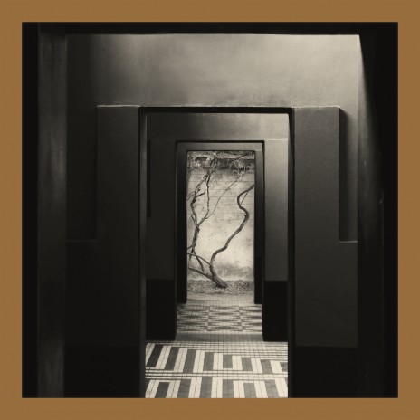 Turn Roots In Iodine ft. Mats Erlandsson