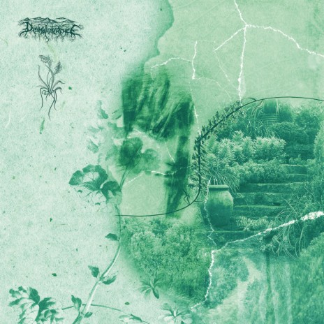 Details in Numbercolor cover art
