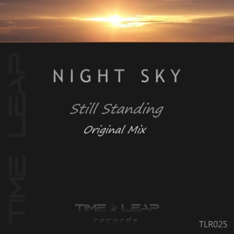 Still Standing (Original Mix) cover art