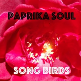 Paprika Soul