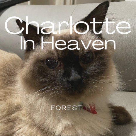 Charlotte in Heaven cover art