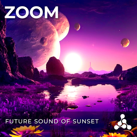 Future Sound Of Sunset cover art