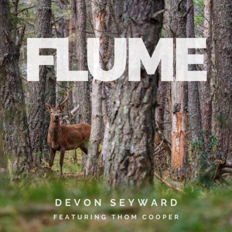 Flume [Acoustic Version] (feat. Thom Cooper) cover art