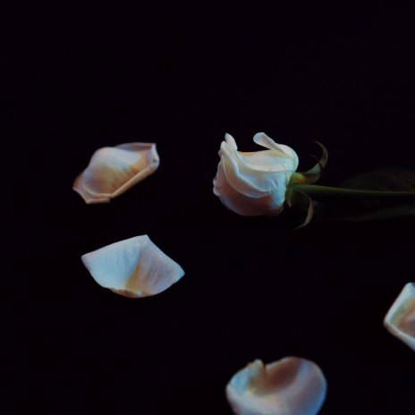 Tell me it is love cover art