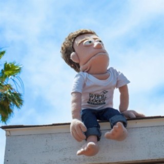 Reid Stefan