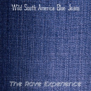 The Rave Experience