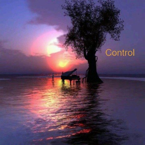 Control cover art