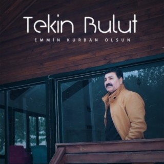 Tekin Bulut