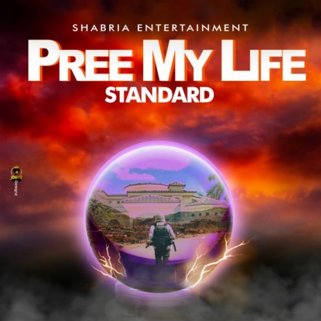 Pree My Life cover art