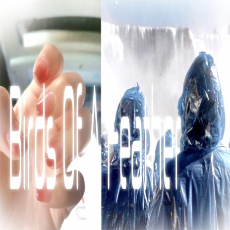 Birds Of A Feather cover art