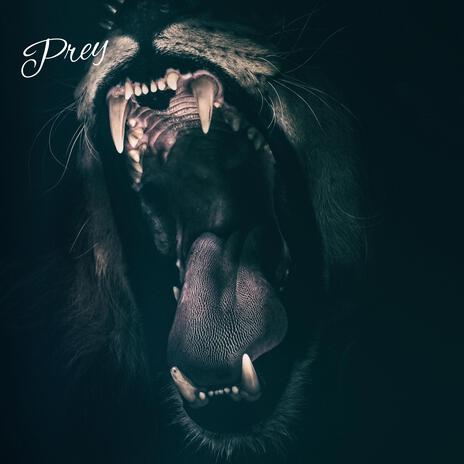 Prey cover art
