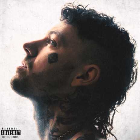 Damage cover art