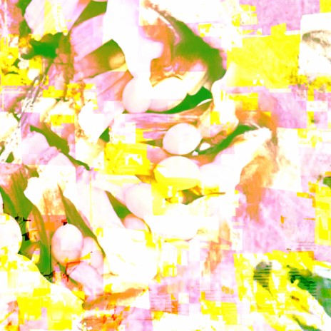 Wild and Fragile cover art