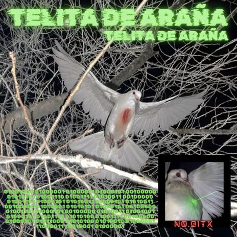 TELITA DE ARAÑA cover art