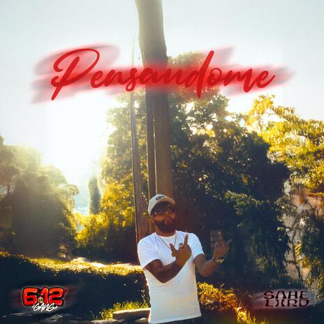 Pensandome ft. Sahelxrd & VERSATIL cover art