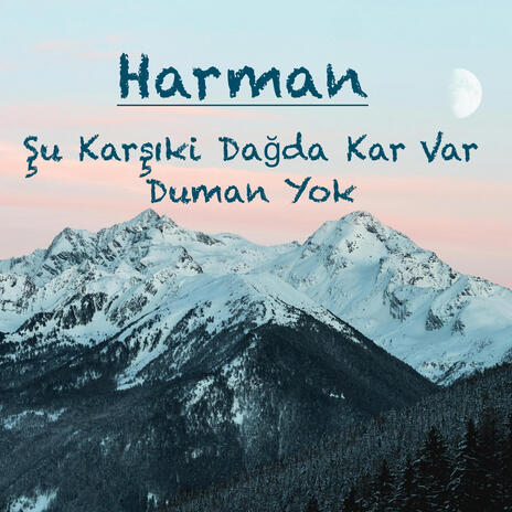 Şu Karşıki Dağda (Enstrümantal) cover art