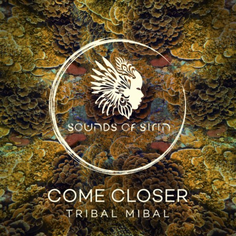 Tribal Mibal cover art