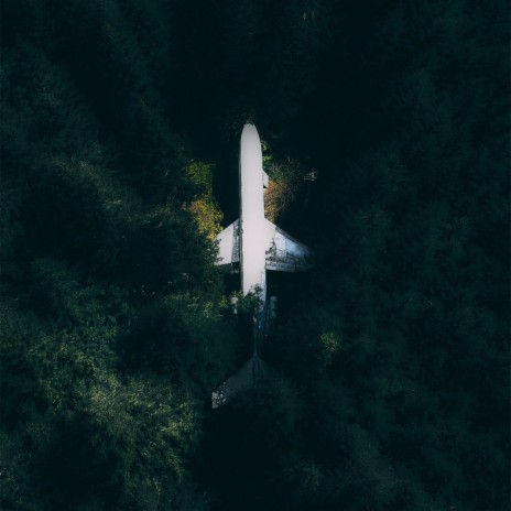 Wing cover art