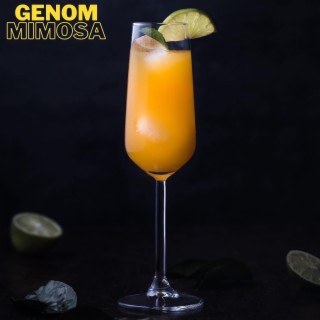 MIMOSA cover art