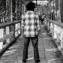 author avatar