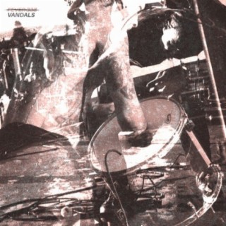 VANDALS cover art