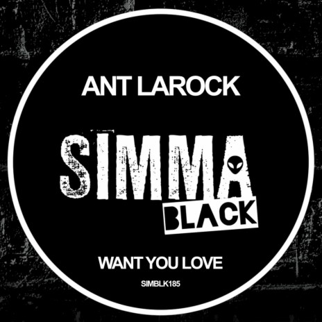Want You Love (Original Mix) cover art