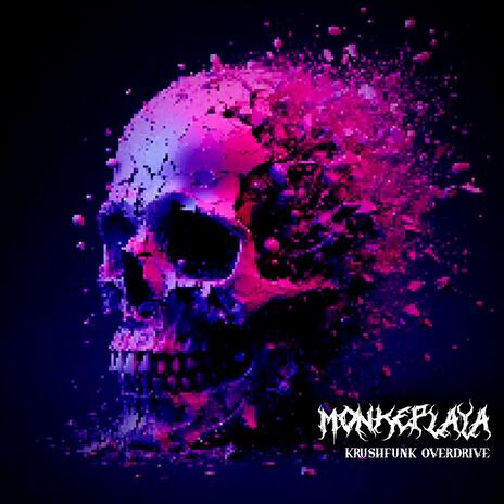 REFLUXX cover art
