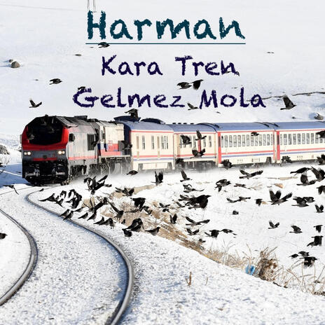 Kara Tren (Enstrümantal) cover art