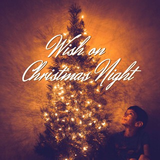 Wish On Christmas Night ft. Sarah Harris cover art