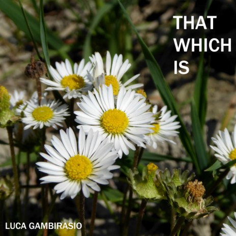 That Which Is cover art