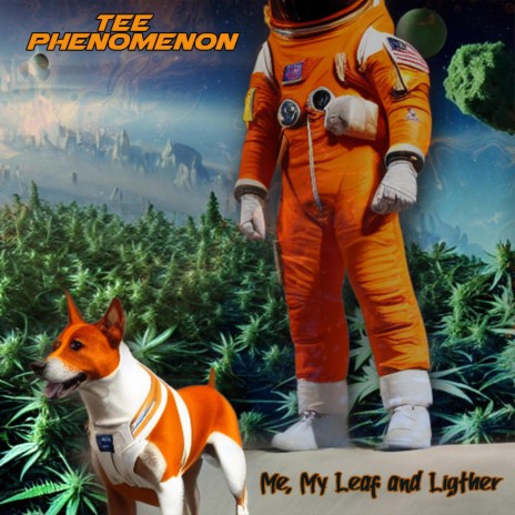 Me, My Leaf and Lighter cover art