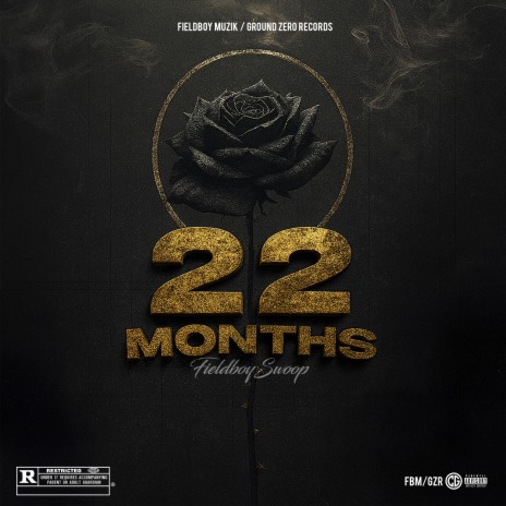22 months cover art